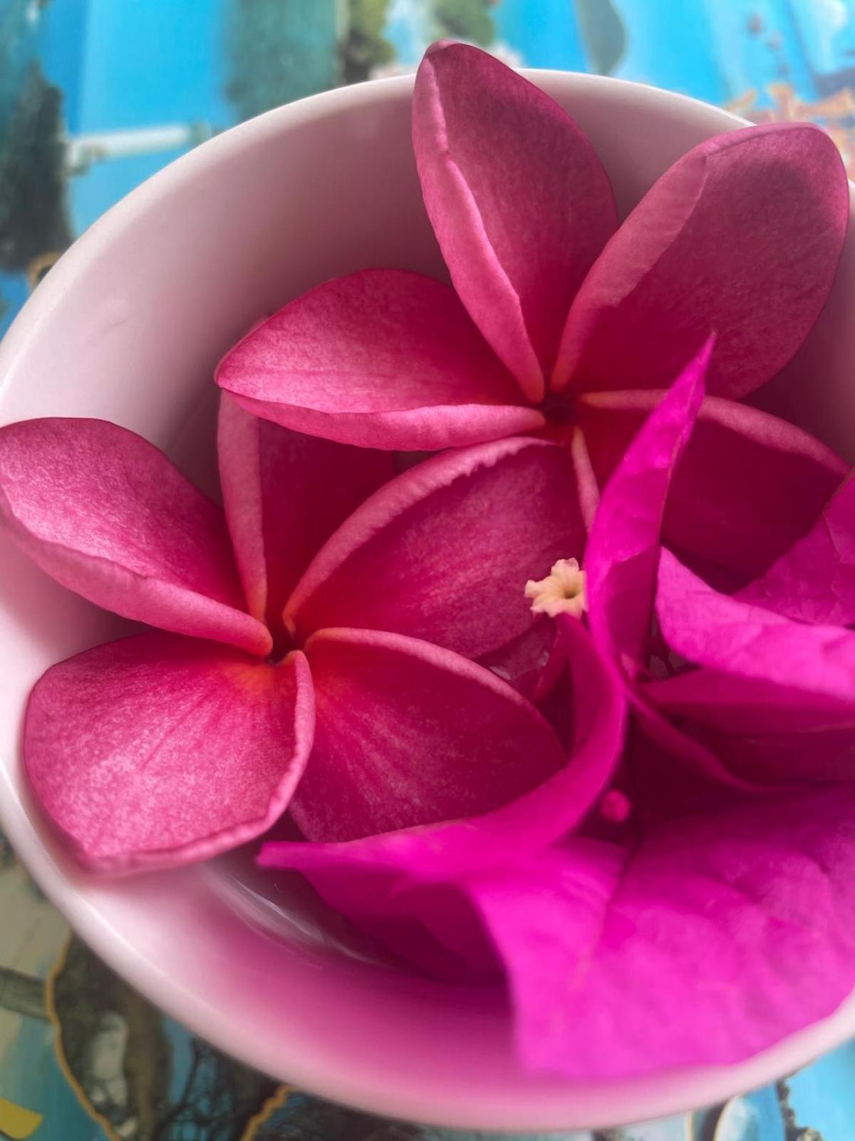 Studio Hibiscus Anse Des Rochers Saint Francois Exterior photo