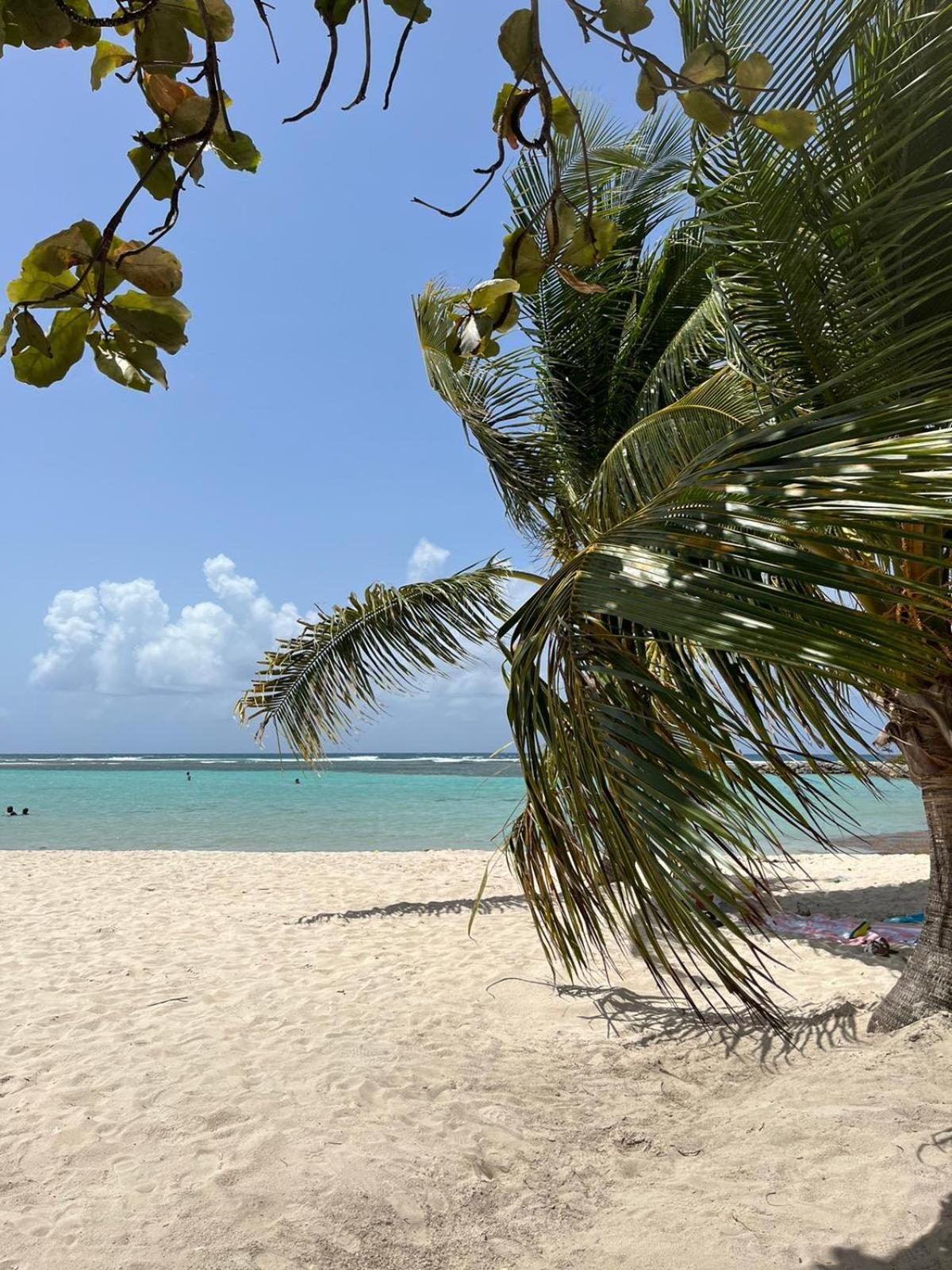 Studio Hibiscus Anse Des Rochers Saint Francois Exterior photo
